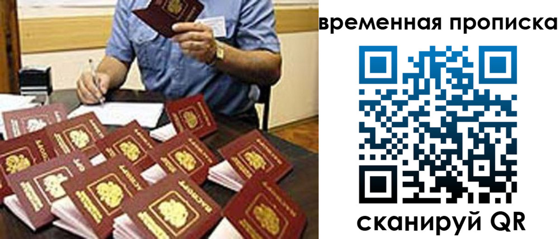 прописка для школы в Мончегорске